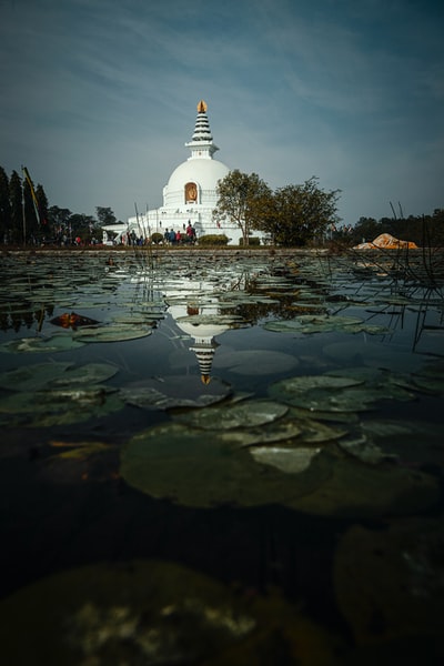 在白天的白色混凝土建筑附近的水域
